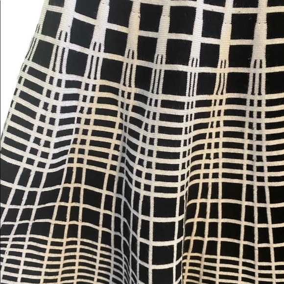 Ana Couture Pleated Flared High Waisted Skirt - Picture 2 of 3